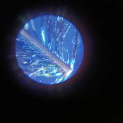 Фото отзыва 11162235