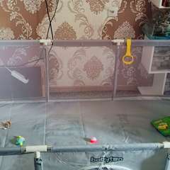 Фото отзыва 10757950