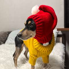 Фото отзыва 10728817