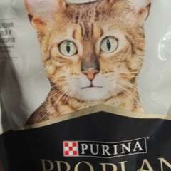 Фото отзыва 11351736