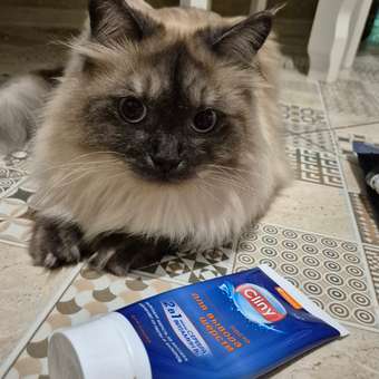 Паста для кошек Cliny для вывода шерсти 30мл 53101: отзыв пользователя. Зоомагазин Зоозавр