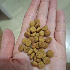 Фото отзыва 10995420