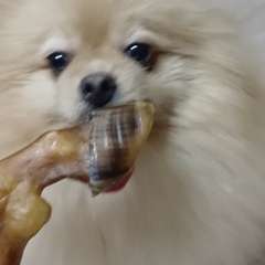 Видео отзыва 10831044