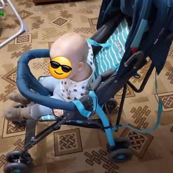 Коляска прогулочная Babyton Zoo Blue синий: отзыв пользователя ДетМир