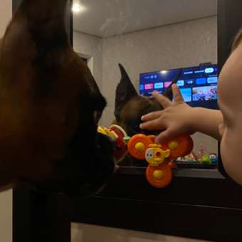 Игрушка Happy Baby: отзыв пользователя ДетМир