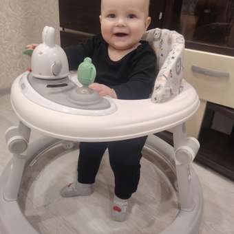 Ходунки Tomix Forest серый: отзыв пользователя Детский Мир