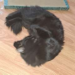 Фото отзыва 11007439