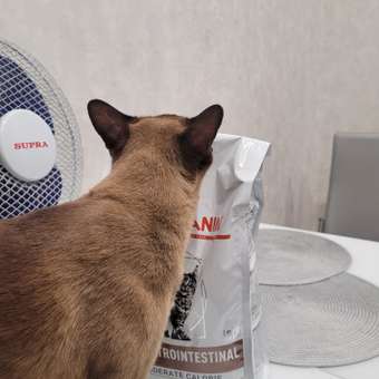 Корм для кошек ROYAL CANIN Veterinary Diet Gastrointestinal Moderate Calorie GIM 35 Feline при расстройствах пищеварения 2кг: отзыв пользователя. Зоомагазин Зоозавр