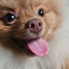 Фото отзыва 10763580