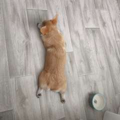 Фото отзыва 10964542