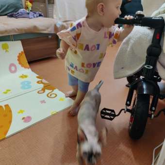 Комплект BabyGo: отзыв пользователя Детский Мир