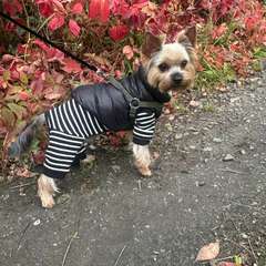 Фото отзыва 10461560