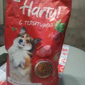 Корм для собак Harty 2,5кг с телятиной для взрослых активных всех пород полнорационный сухой: отзыв пользователя. Зоомагазин Зоозавр