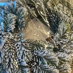 Фото отзыва 10636236