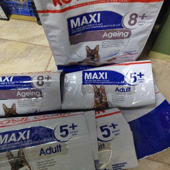 Корм для собак ROYAL CANIN пожилых крупных пород 15кг: отзыв пользователя. Зоомагазин Зоозавр
