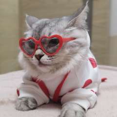 Фото отзыва 10613532