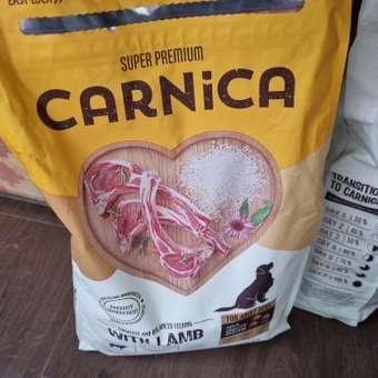 Корм для собак Carnica 3кг ягнёнок-рис для средних и крупных пород сухой: отзыв пользователя. Зоомагазин Зоозавр