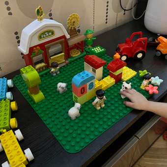 Конструктор LEGO DUPLO Пластина для строительства 1 дет.: отзыв пользователя ДетМир