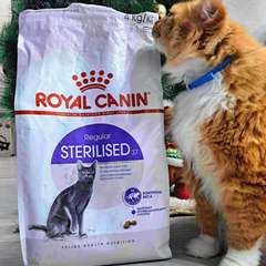 Фото отзыва 10888140