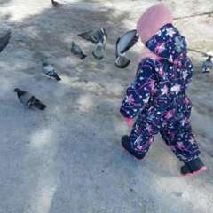 Фото отзыва 3754966