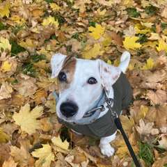 Фото отзыва 10618624