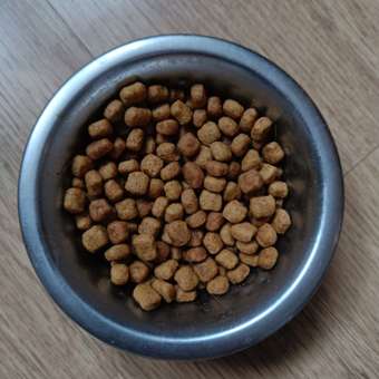 Корм сухой для кошек ROYAL CANIN Indoor 400г пожилых кошек постоянно проживающих в помещении: отзыв пользователя. Зоомагазин Зоозавр