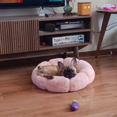 Фото отзыва 11317432