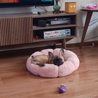 Лежанка для собак Barbaks Цветочек круглый M 50*50*13см: отзыв пользователя. Зоомагазин Зоозавр