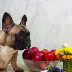 Фото отзыва 10519272