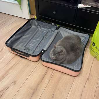 Корм для кошек ROYAL CANIN Veterinary Diet Gastrointestinal Moderate Calorie GIM 35 Feline при расстройствах пищеварения 2кг: отзыв пользователя. Зоомагазин Зоозавр