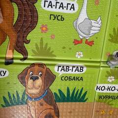 Фото отзыва 11200717