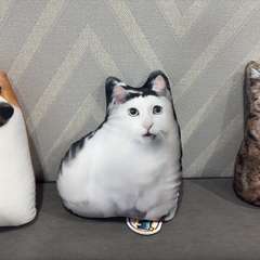 Фото отзыва 10586064