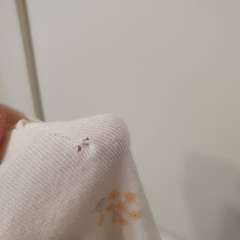 Фото отзыва 11010160