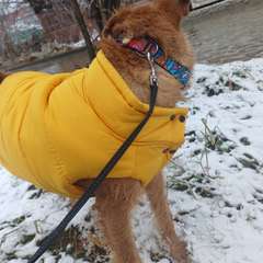 Фото отзыва 10608092