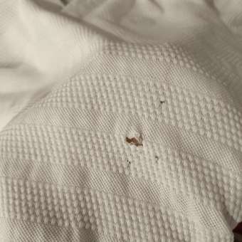 Футболка-поло Acoola: отзыв пользователя Детский Мир