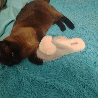 Корм сухой для кошек ROYAL CANIN Hair/Skin Care 2кг для поддержания здоровья кожи и шерсти: отзыв пользователя. Зоомагазин Зоозавр