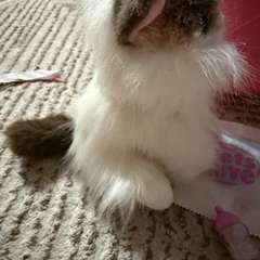 Фото отзыва 11303183