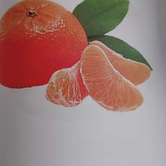 Фото отзыва 10656994