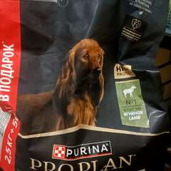 Видео отзыва 10905882