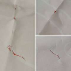 Фото отзыва 10976379