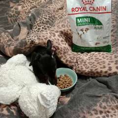 Фото отзыва 10788060