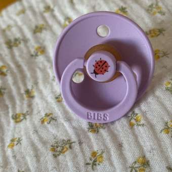 Пустышка BIBS латекс классическая от 6 мес. 1 шт.: отзыв пользователя Детский Мир