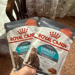 Фото отзыва 10723565