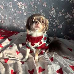 Фото отзыва 10507546