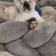 Фото отзыва 11097373