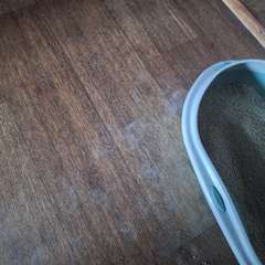 Фото отзыва 9702718