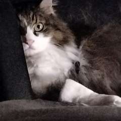 Фото отзыва 10977699