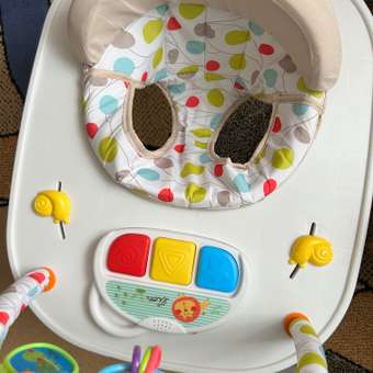 Ходунки Amarobaby: отзыв пользователя Детский Мир