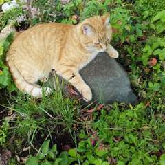 Фото отзыва 10536250