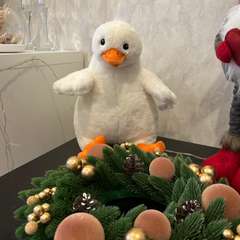 Фото отзыва 10854087